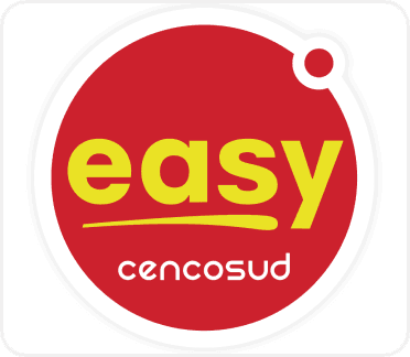 Easy logo